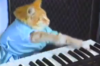 Le petit chat au piano est mort